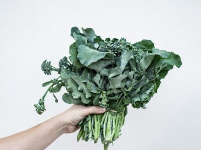 Plant-Based Diet