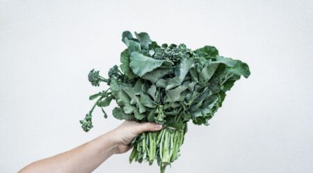 Plant-Based Diet