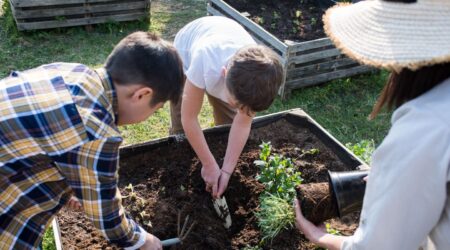 Mastering Sustainable Living